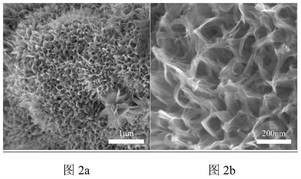 A superamphiphobic metal surface with three-dimensional distribution of nanostructures and its preparation method