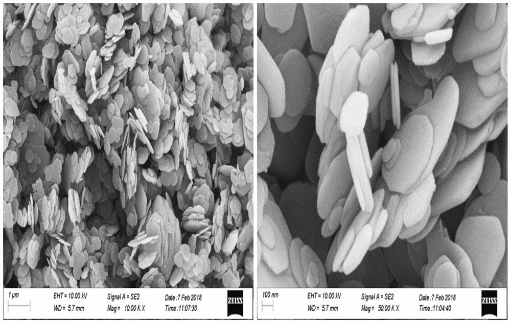 Preparation method and application of a nitrogen-doped carbon-magnesium composite nanosheet