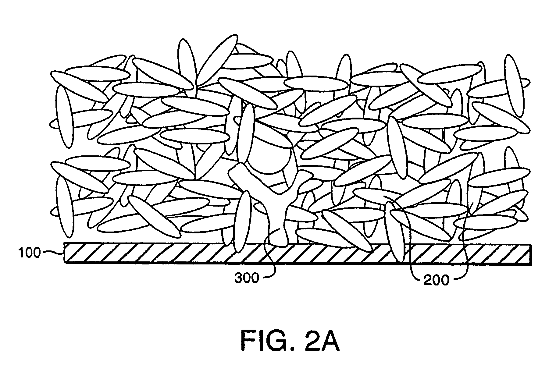 Method for assaying cell movement