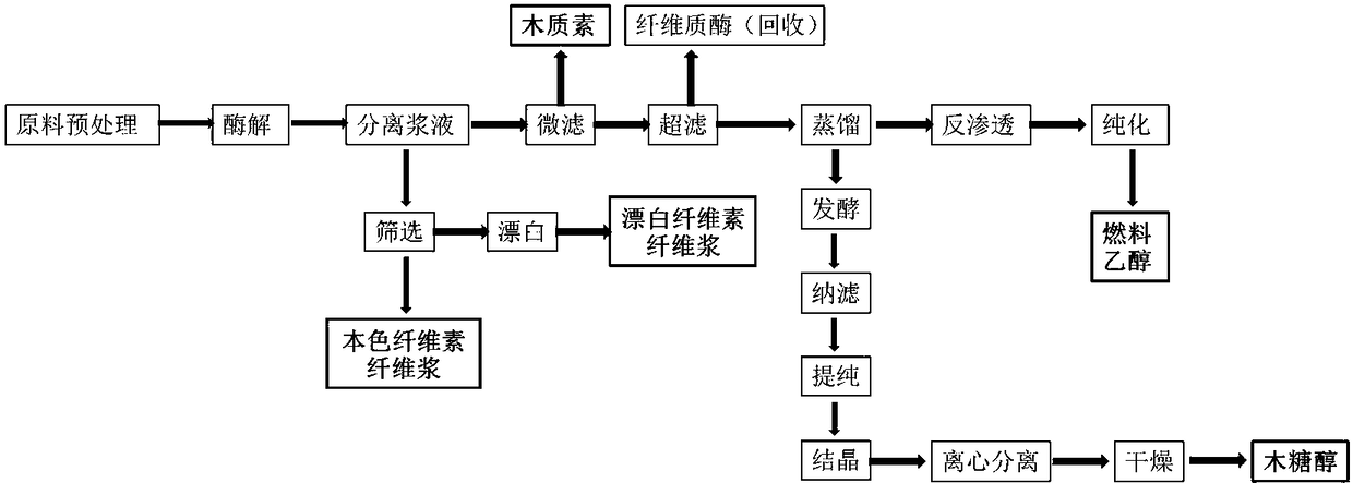 Process for synchronously producing ethyl alcohol, xylitol, lignin and cellulosic fiber pulp through straw enzymolysis and fermentation