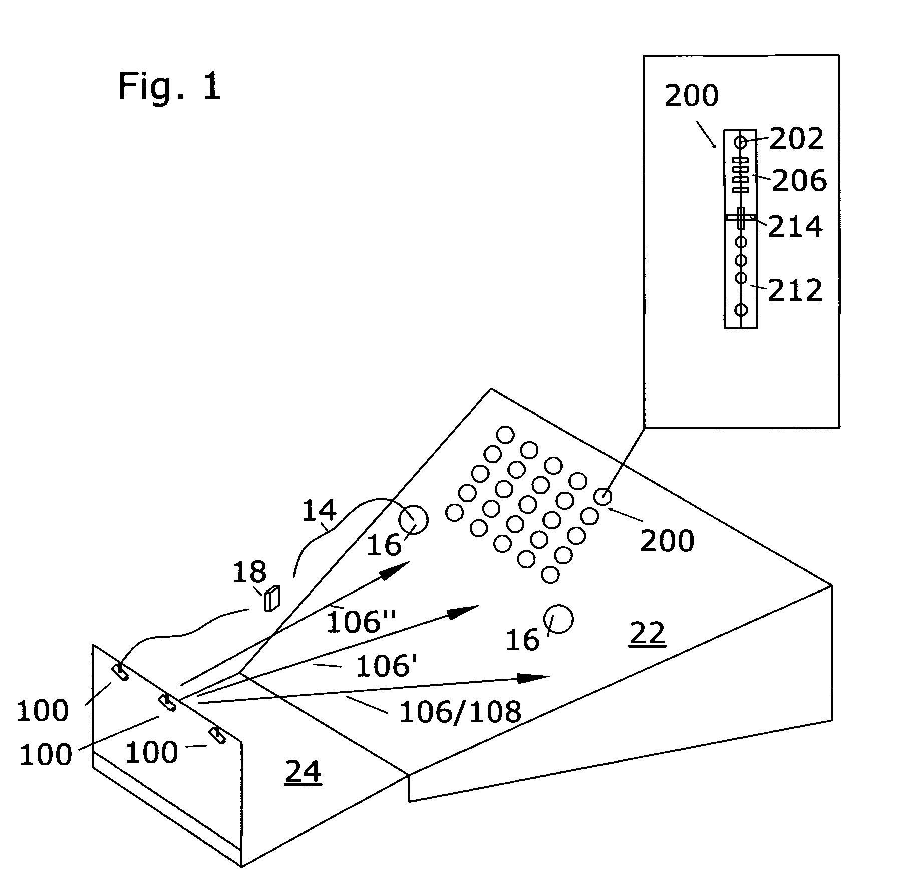 Performance display system