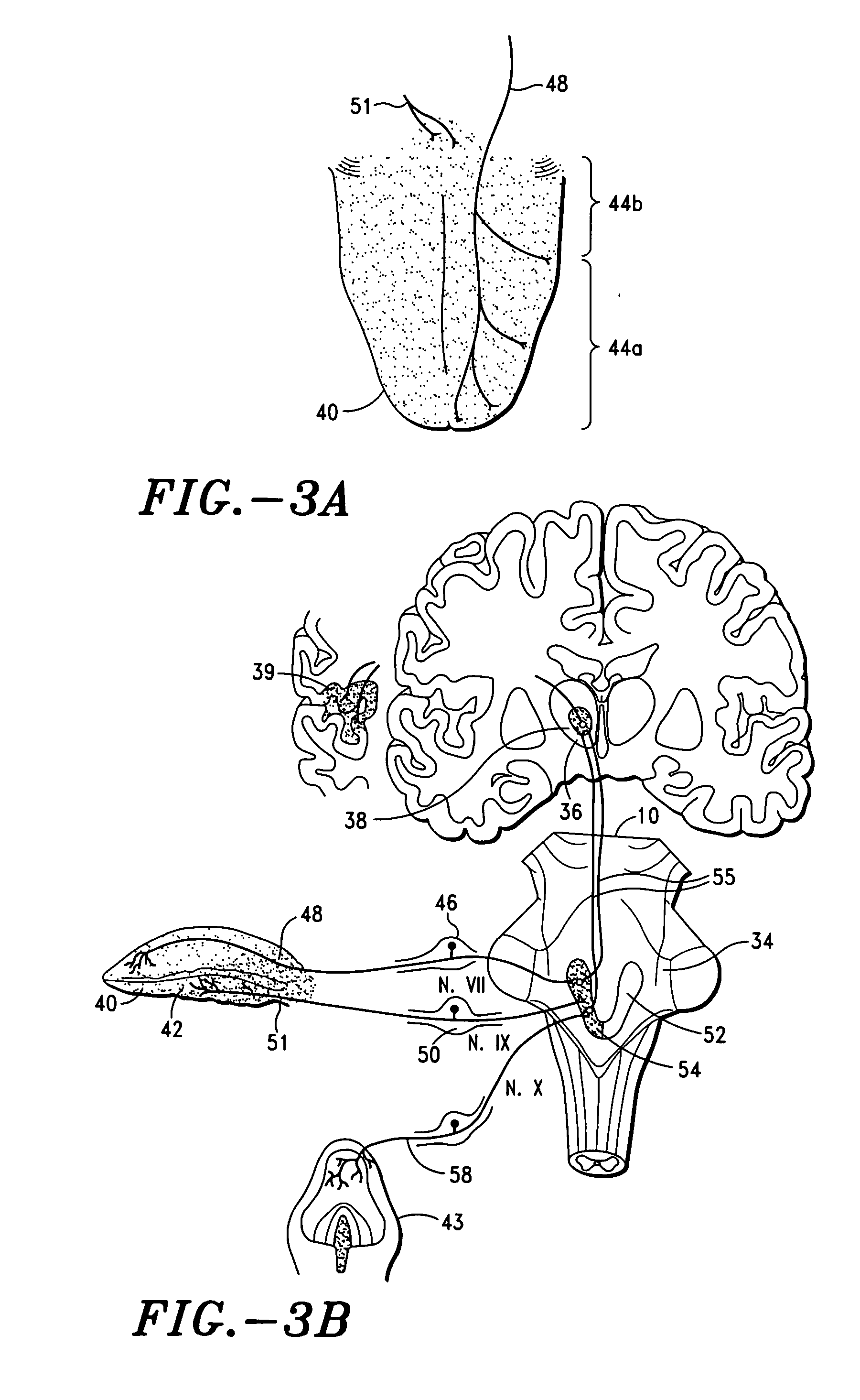 Method and system for modulating eating behavior by means of neuro-electrical coded signals