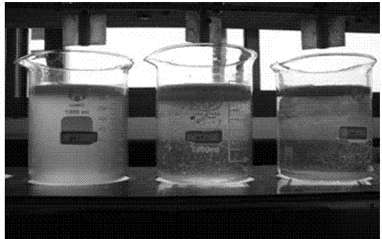 Flocculant for purifying landscape water and preparation method of flocculant