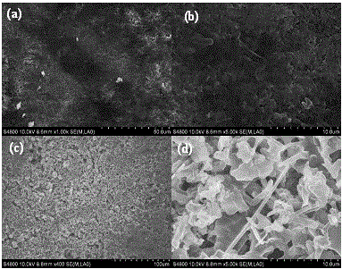 Metal lithium anode with protective coating, preparation thereof and application of metal lithium anode
