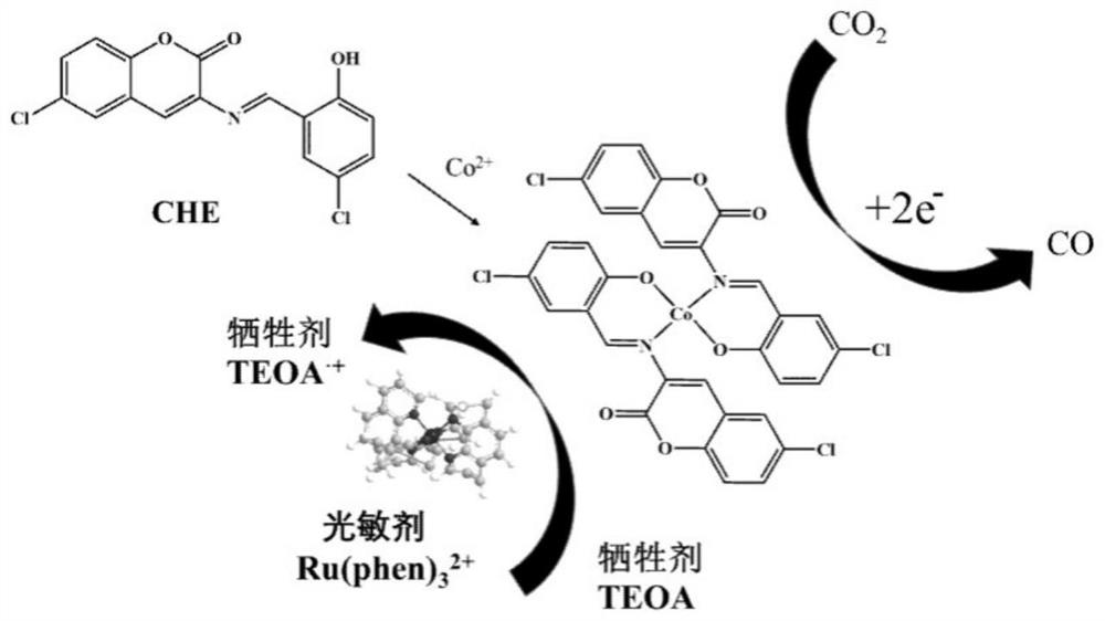 Preparation method and application of cobalt (II) coumarin Schiff base complex