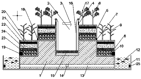 Landscape ecological sewage treatment system