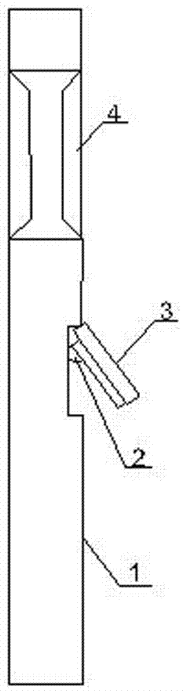 Garden lamp with projection function and arrangement method of projection lamp