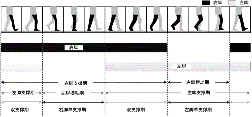 Parkinson patient walking ability evaluation method based on gait time-space parameters and three-dimensional force characteristics
