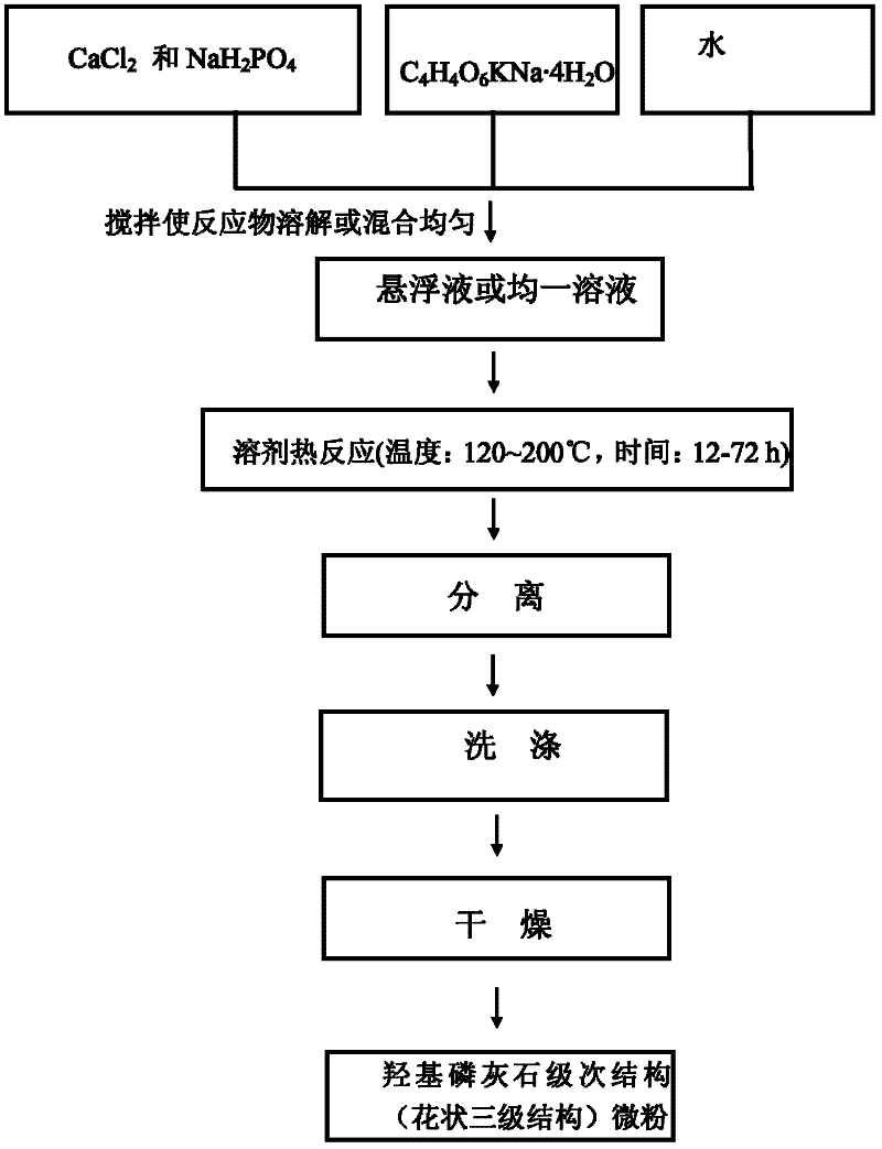 Hydroxyapatite with flower-shaped level nanostructure and preparation method thereof