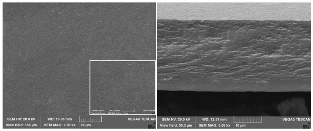 Edible seaweed straw and preparation method thereof