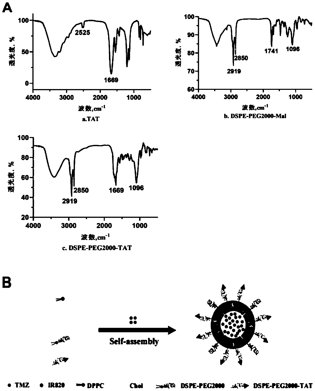 Cell-penetrating peptide modified drug-loaded thermosensitive nanoparticle and application thereof in resisting melanoma