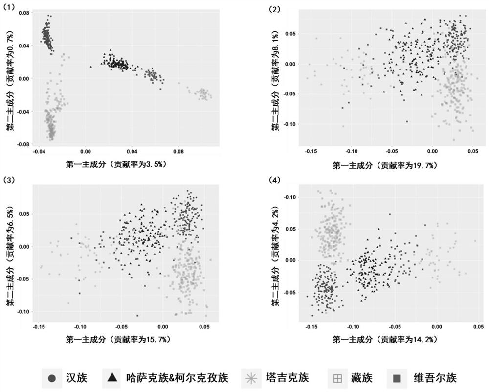 SNP marker combinations for inferring major ethnic groups in northwestern China and adjoining Central Asian countries
