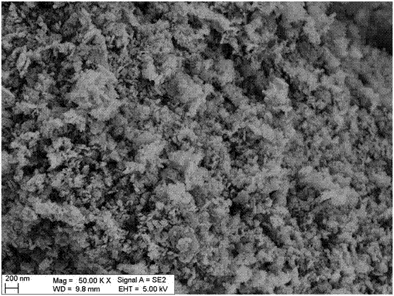 Preparation method for cobalt-loaded ordered mesoporous carbon material and application of cobalt-loaded ordered mesoporous carbon material in process of catalyzing oxone to degrade rhodamine B in wastewater