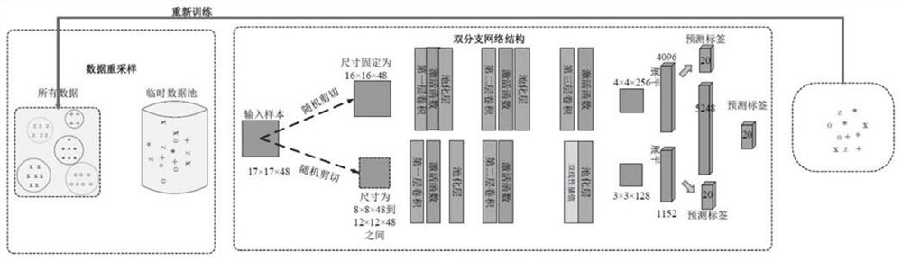 Hyperspectral classification method based on dual branch network