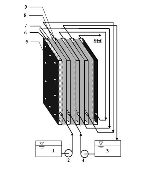 Plate-frame immobilized cell membrane bioreactor and application thereof