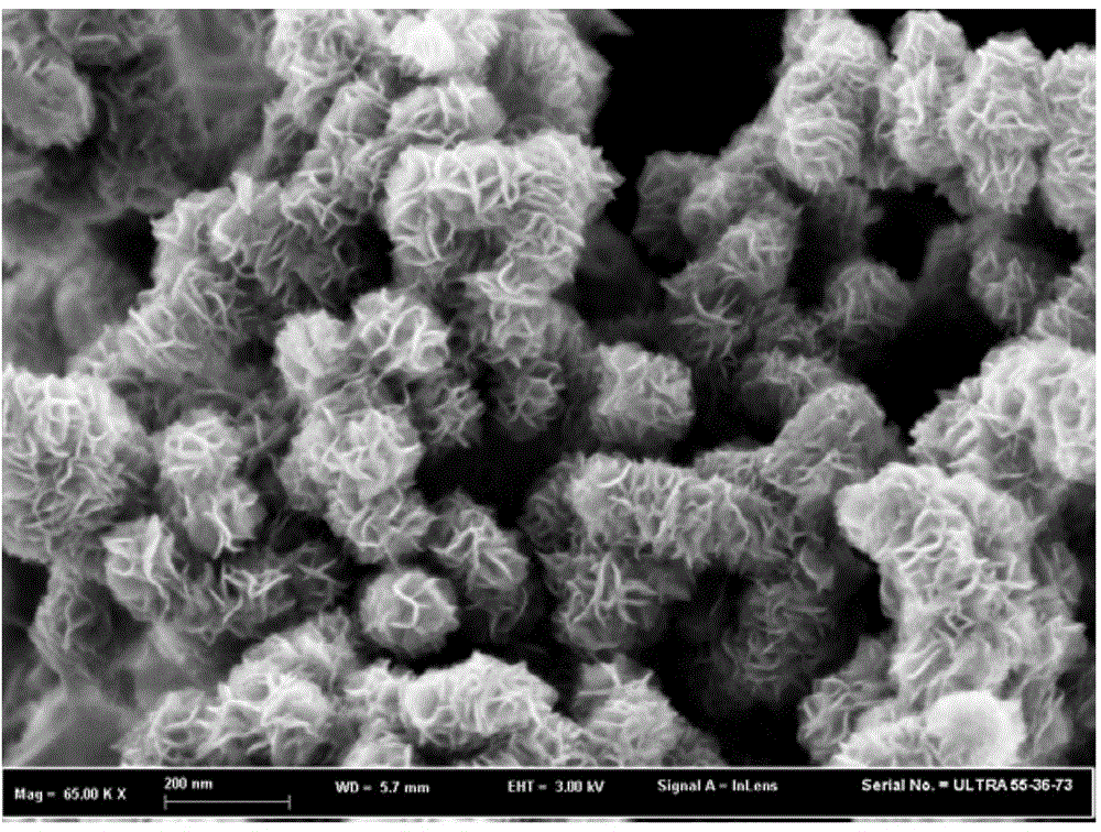 Three-dimensional molybdenum disulfide nanoflower-graphene composite material and application thereof