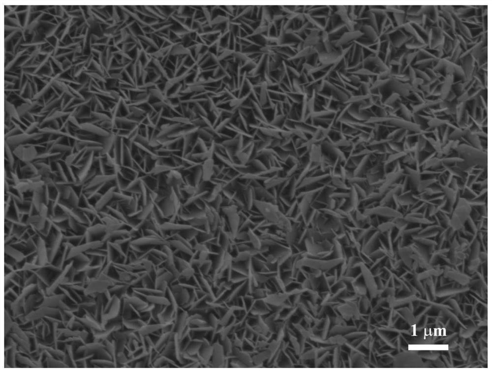 Preparation method and application of SLIPS/LDHs composite film layer on surface of magnesium alloy