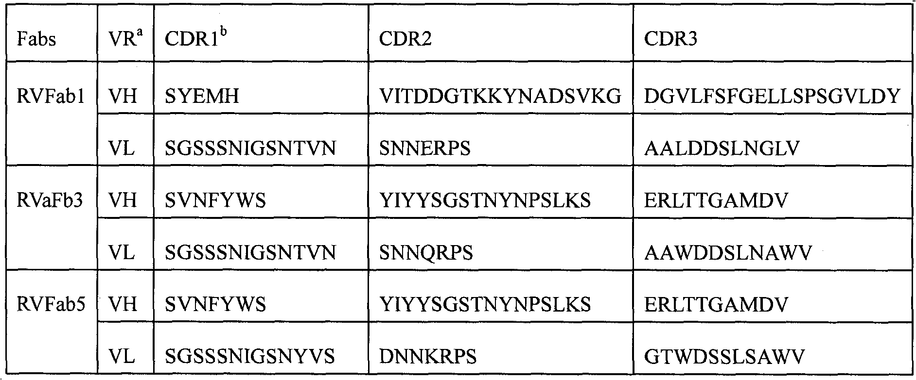 Humanized neutralizing antibody (RVFab3) against rabies virus glycoprotein