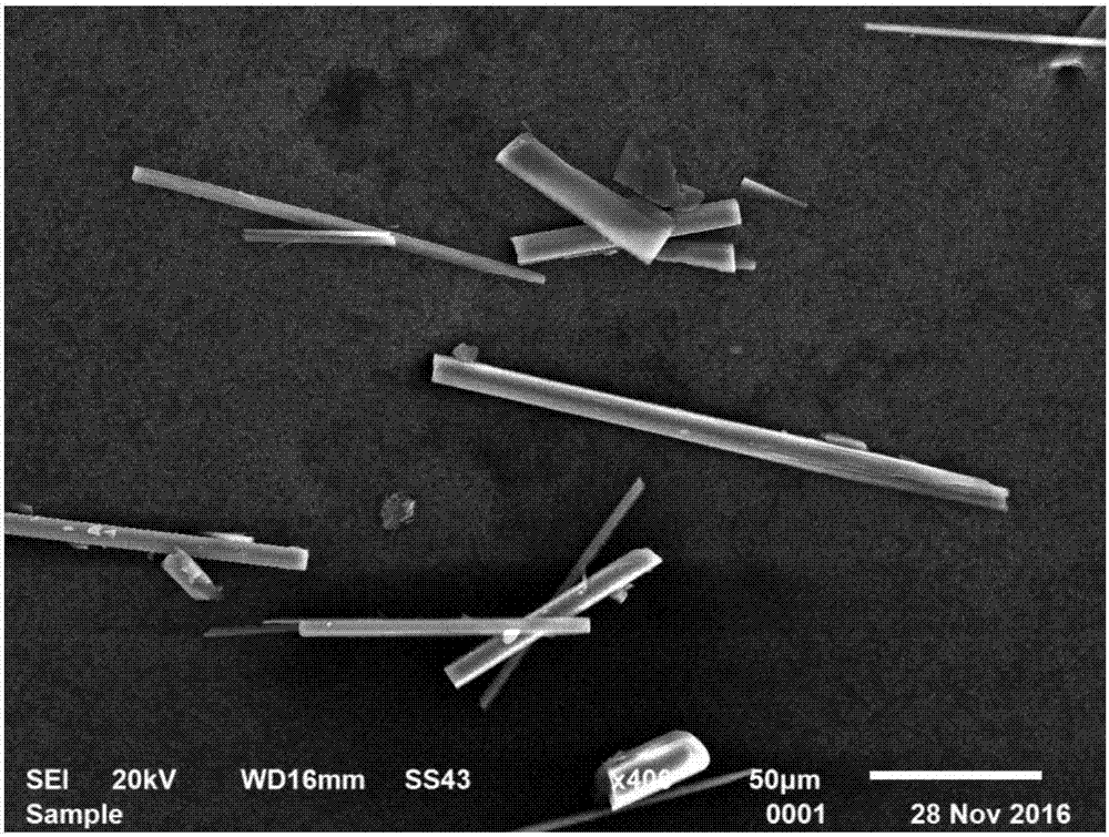 Method for preparing alkaline type magnesium iodide crystal whiskers