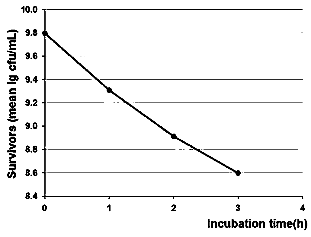 Lactobacillus helveticus with cholesterol reducing capacity