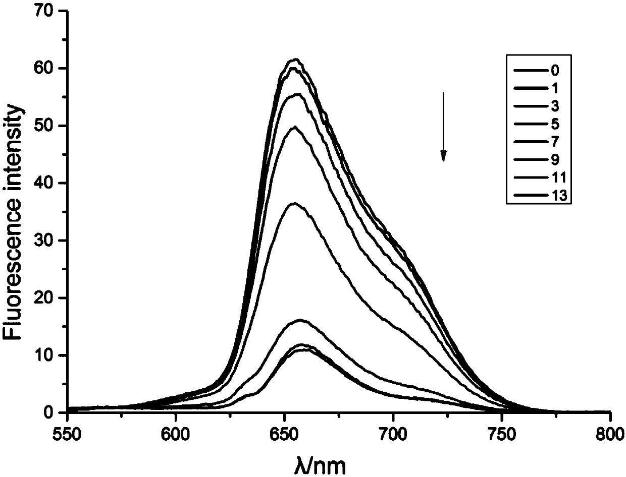 Targeted anti-tumor drug system and preparation method thereof