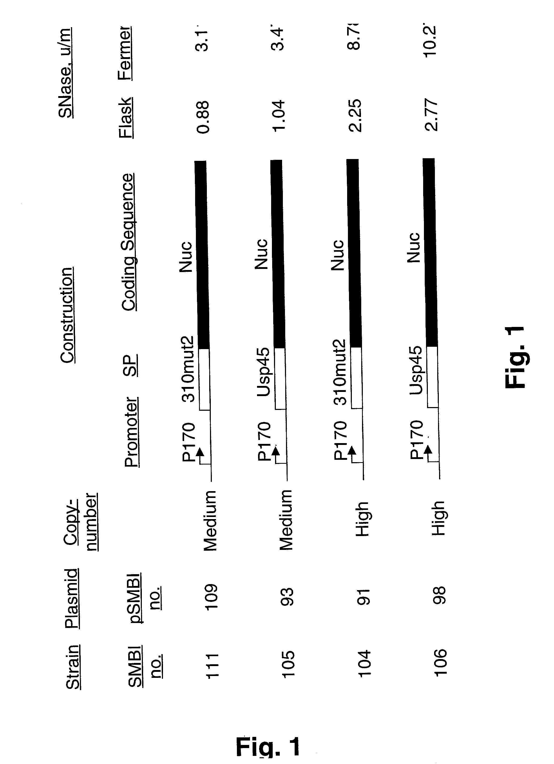 Fermentation method for production of heterologous gene products in lactic acid bacteria