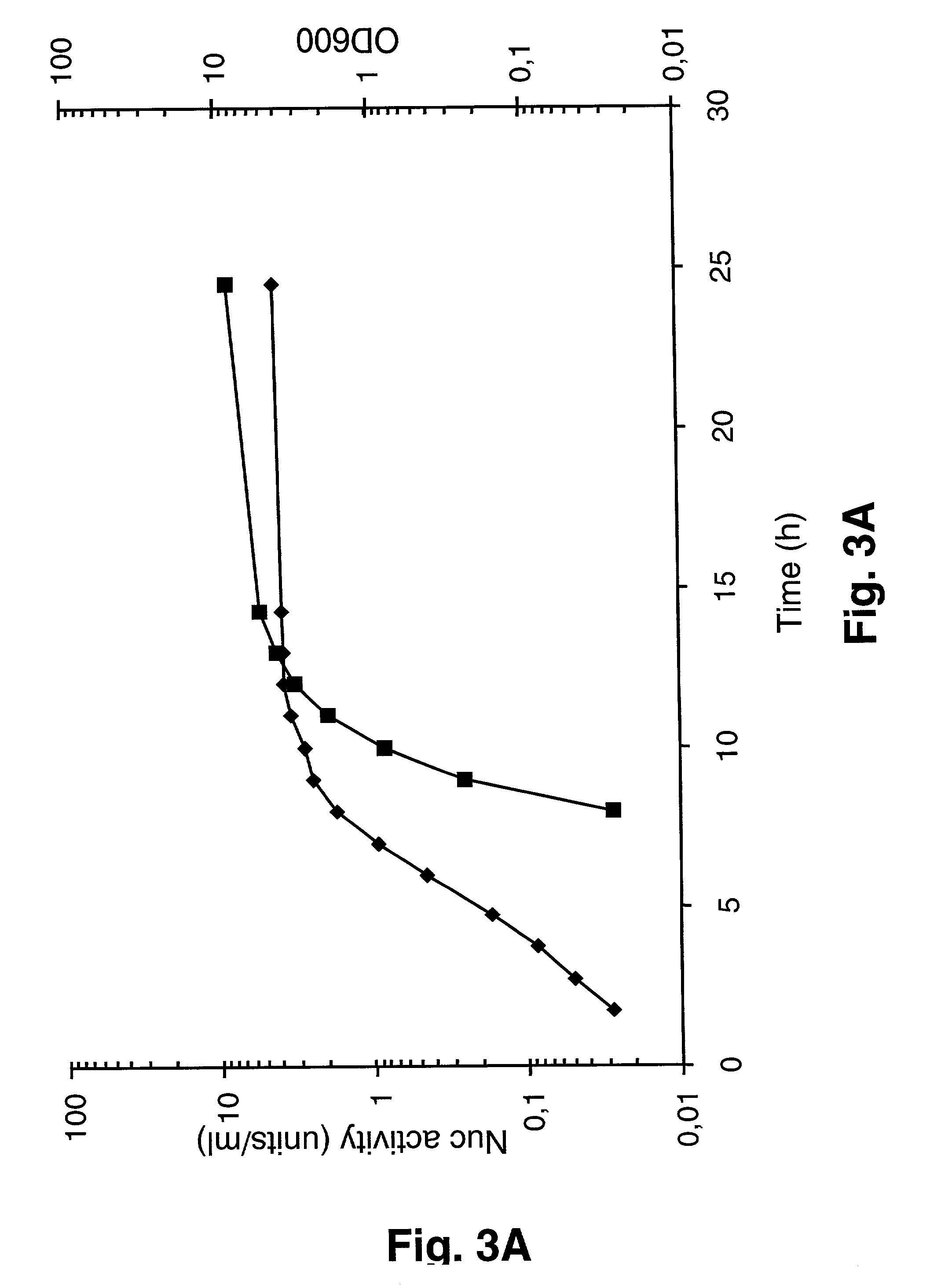 Fermentation method for production of heterologous gene products in lactic acid bacteria