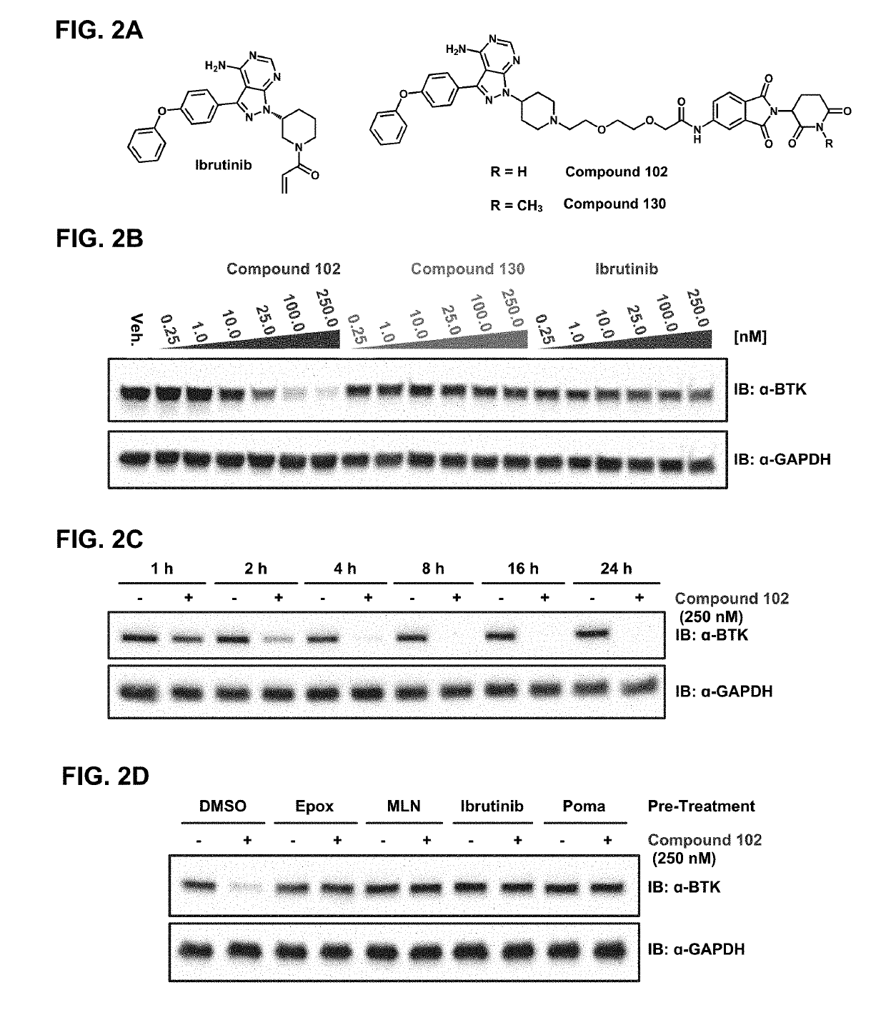 Modulators of btk proteolysis and methods of use