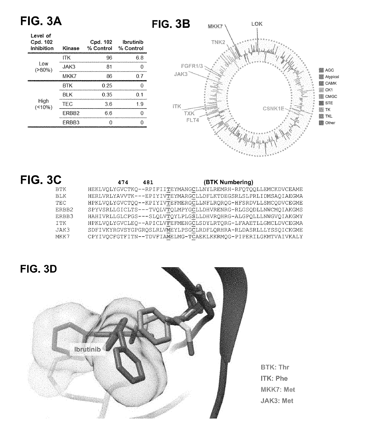 Modulators of btk proteolysis and methods of use