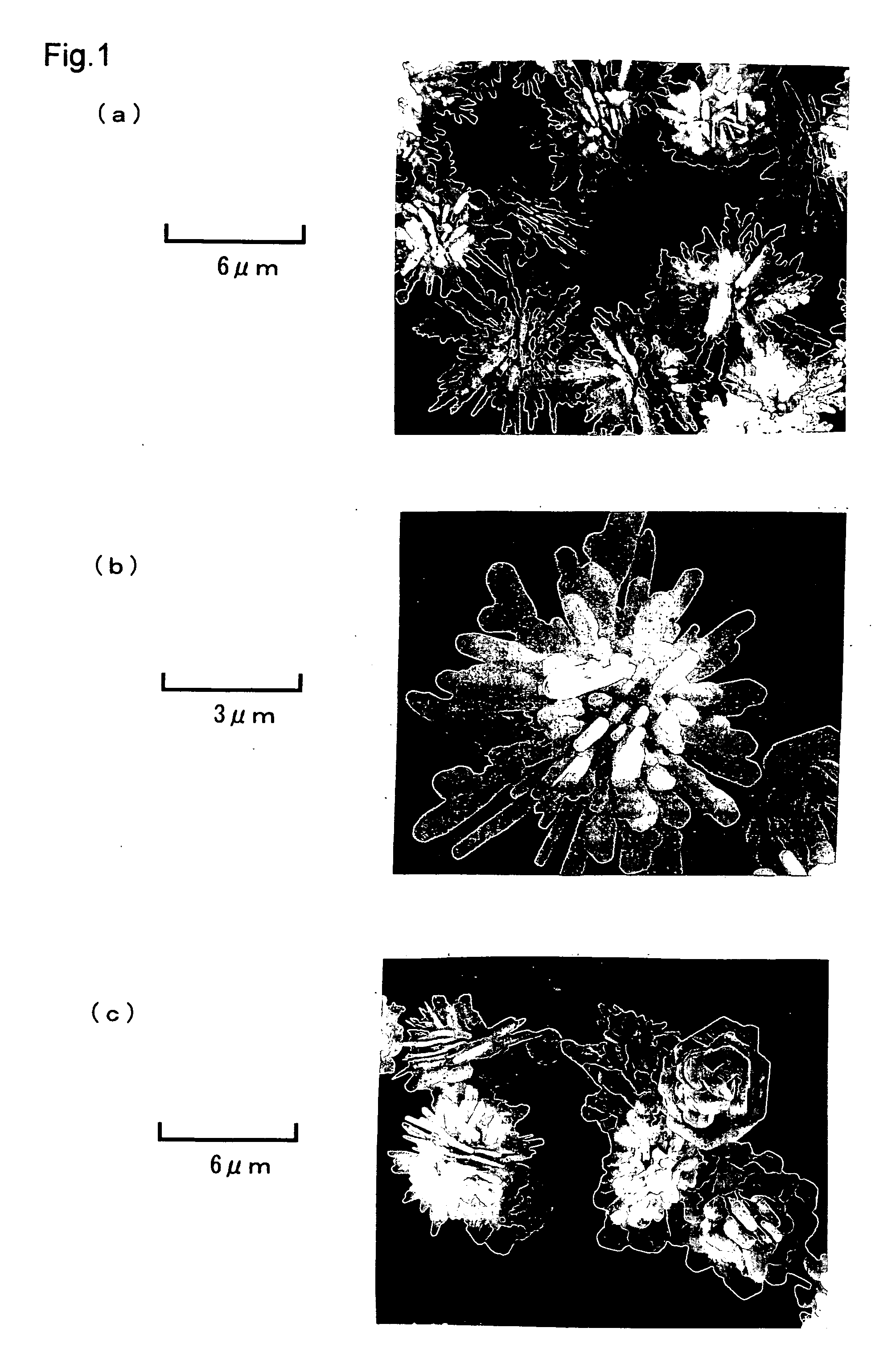Conductive powder, conductive composition, and producing method of the same