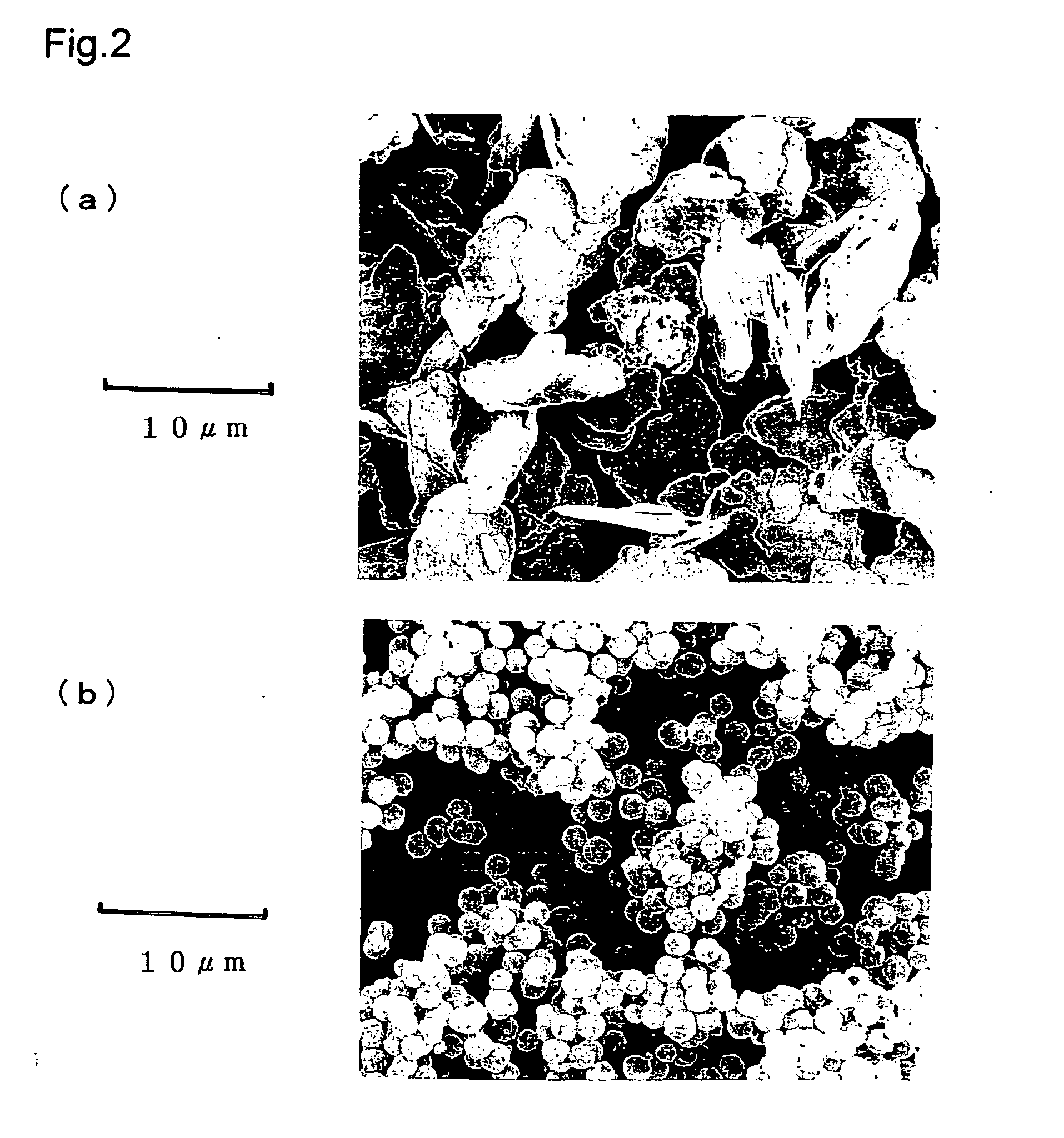 Conductive powder, conductive composition, and producing method of the same