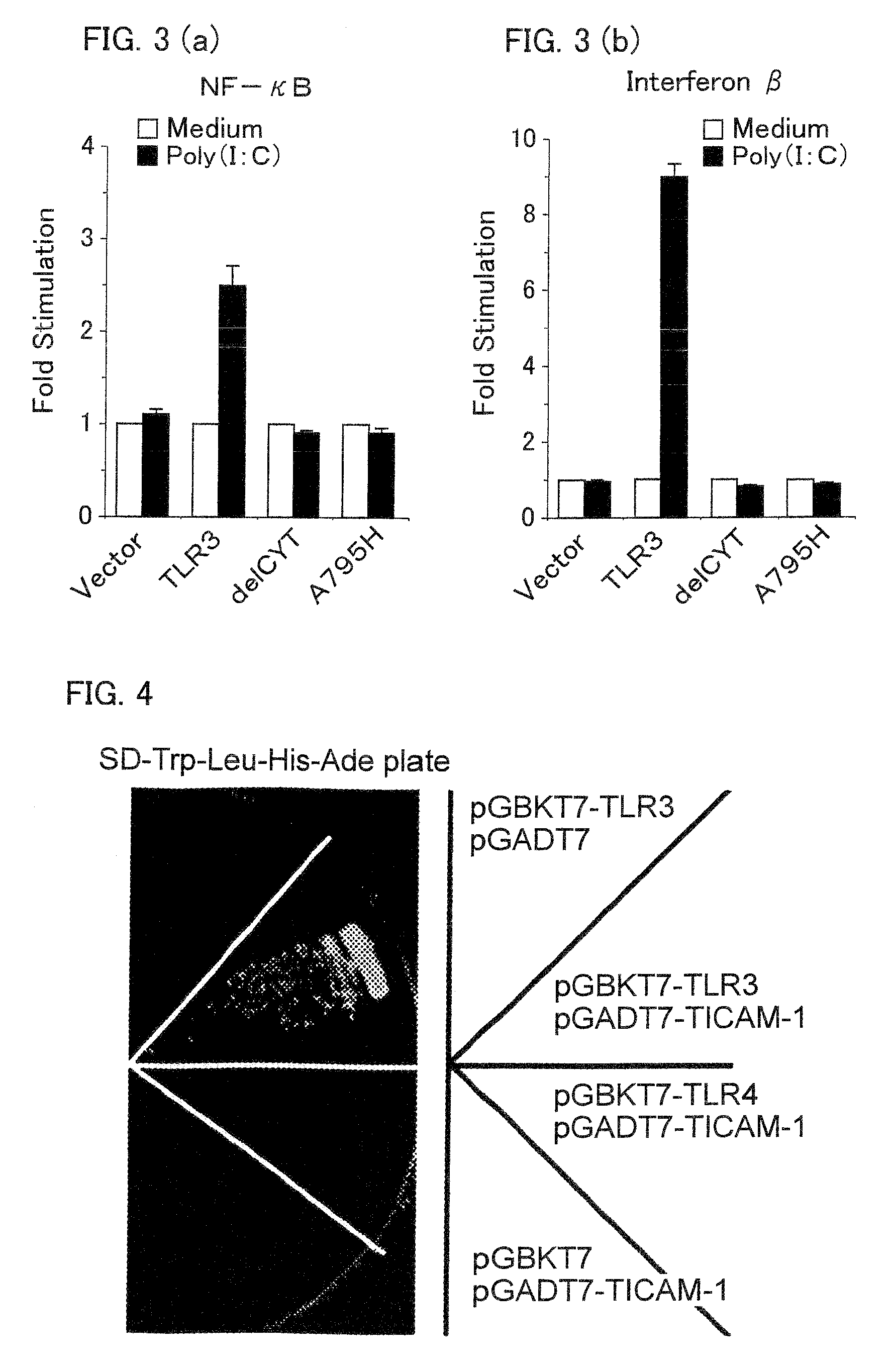 Adaptor protein that binds to mammalian toll-like receptor 3, and gene thereof