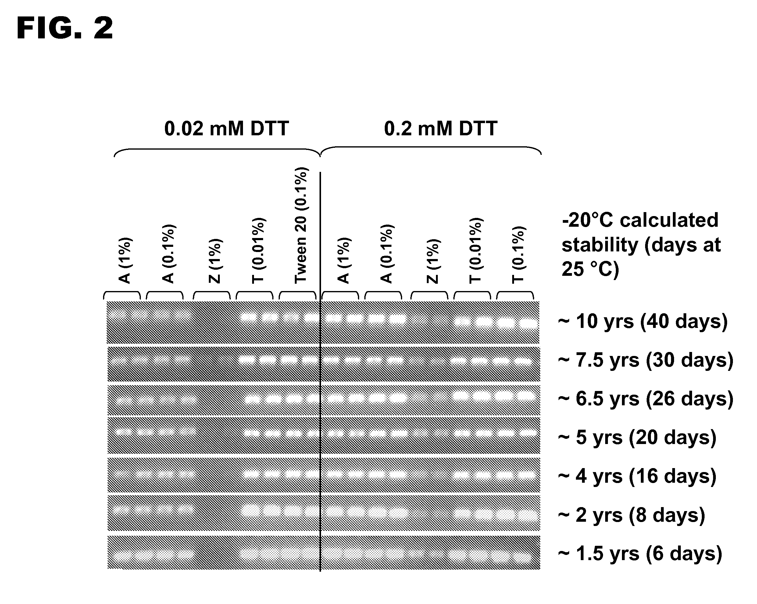 Stabilized compositions of thermostable DNA polymerase and anionic or zwitterionic detergent