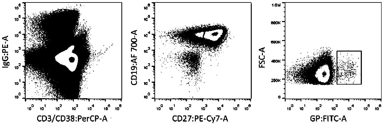 Monoclonal antibody 2G1 against Ebola virus glycoprotein (GP)2 subunit, and application of monoclonal antibody 2G1