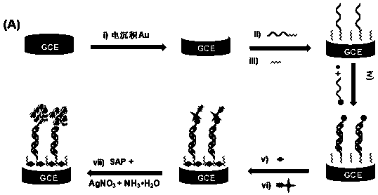 A ppt level hg2+ amperometric analysis method