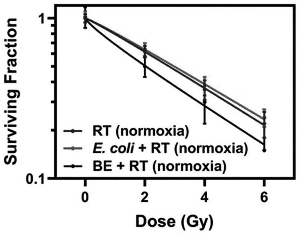 Tumor targeting carrier for low-dose radiotherapy, preparation method of tumor targeting drug and tumor targeting drug