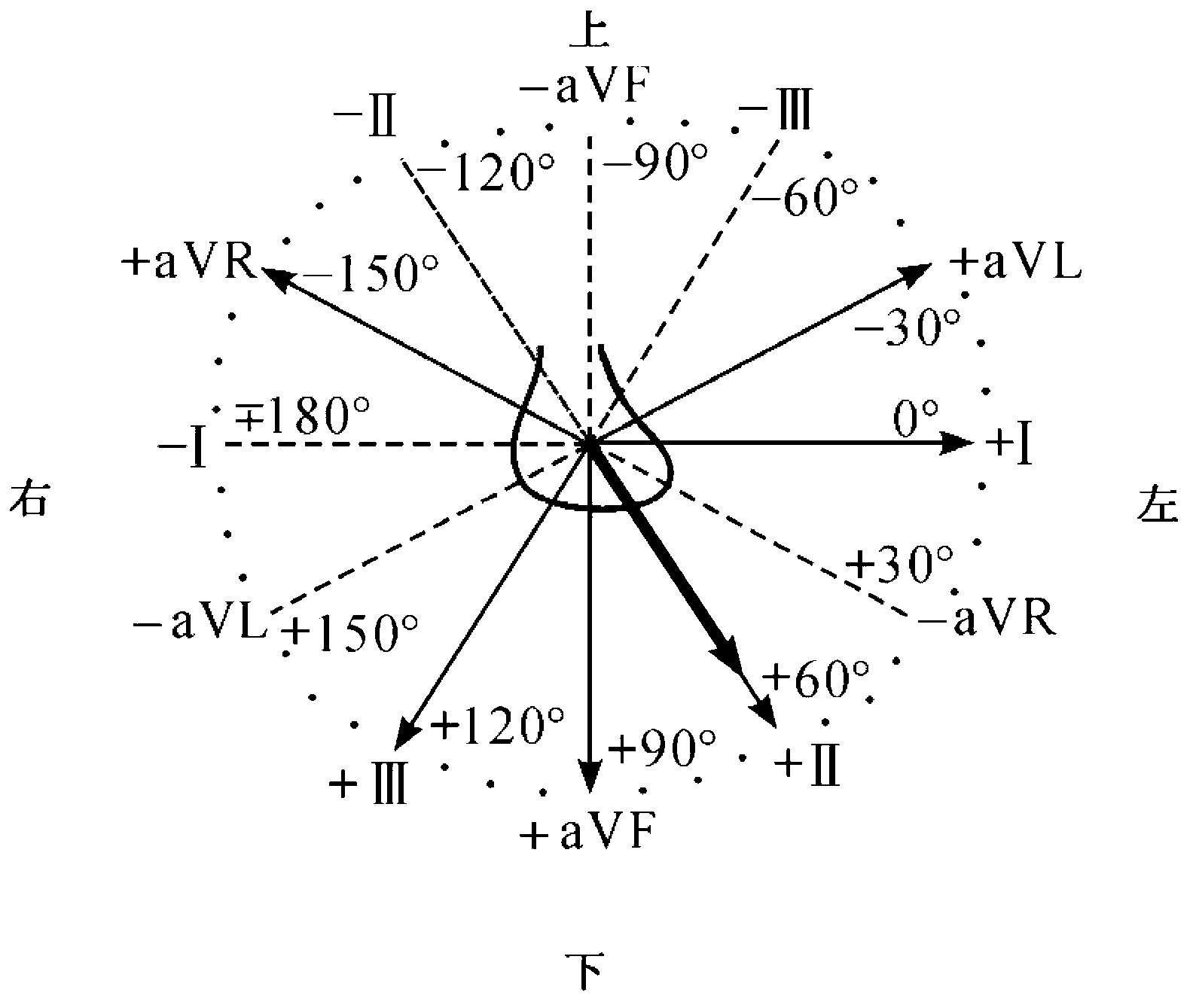 Cardiac electric axis and clockwise transposition measuring tray