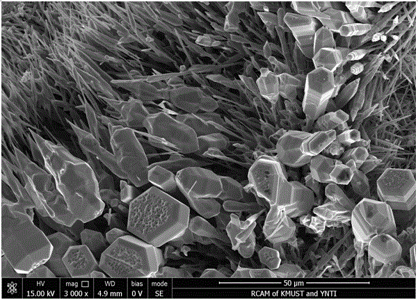 Method for preparing high-purity zinc oxide by using zinc-acetate-carrying waste activated carbon