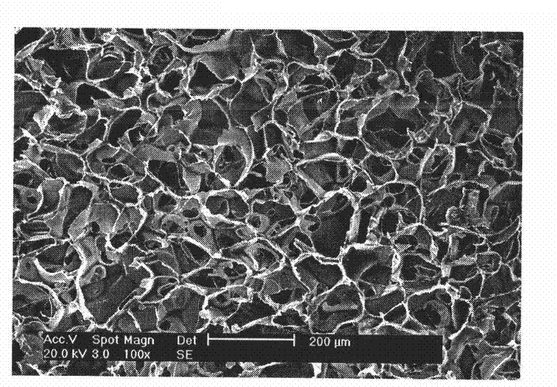 Method for preparing hydroxyapatite/silk fibroin compound porous stand material