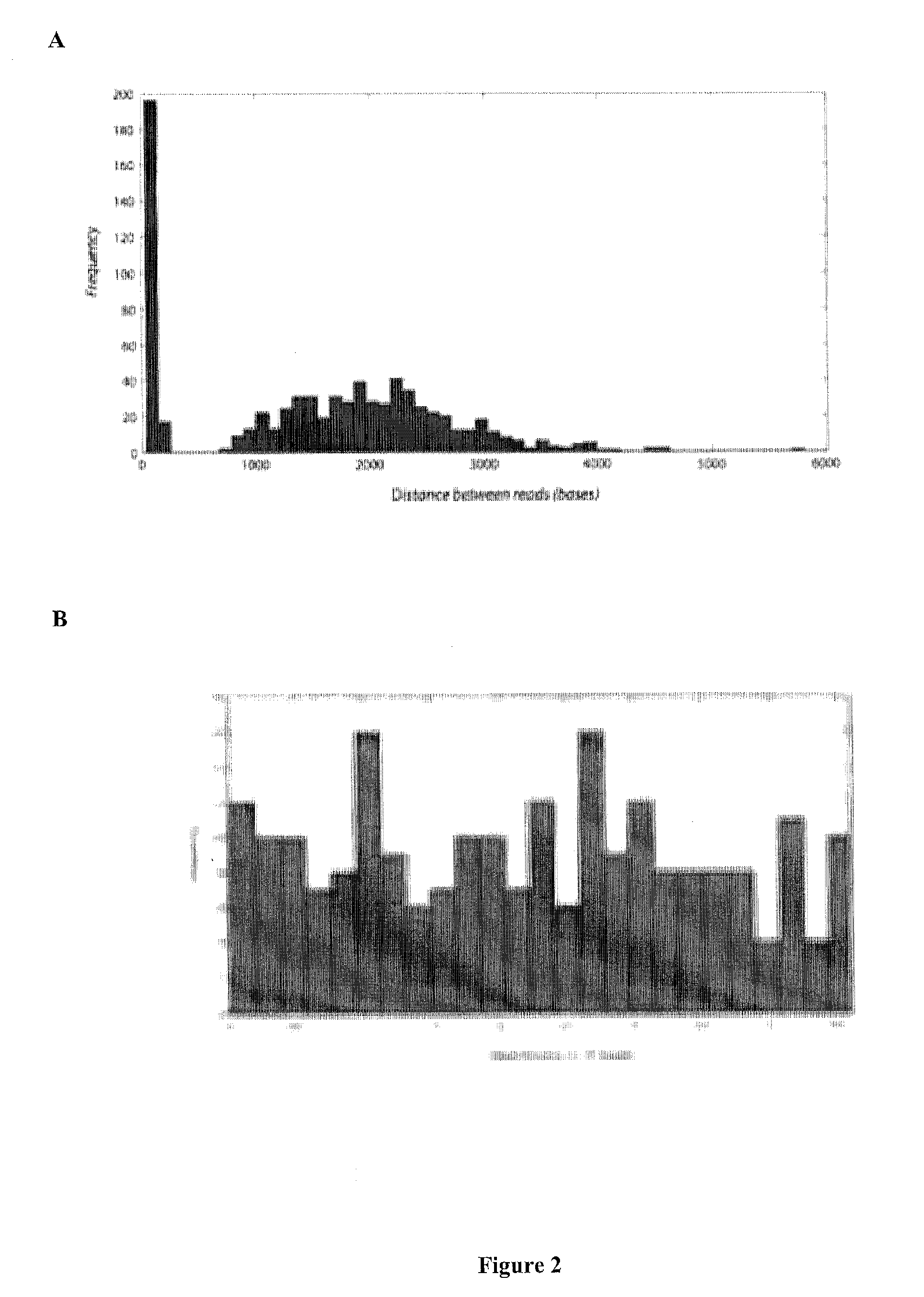 Compositions and methods for co-amplifying subsequences of a nucleic acid fragment sequence