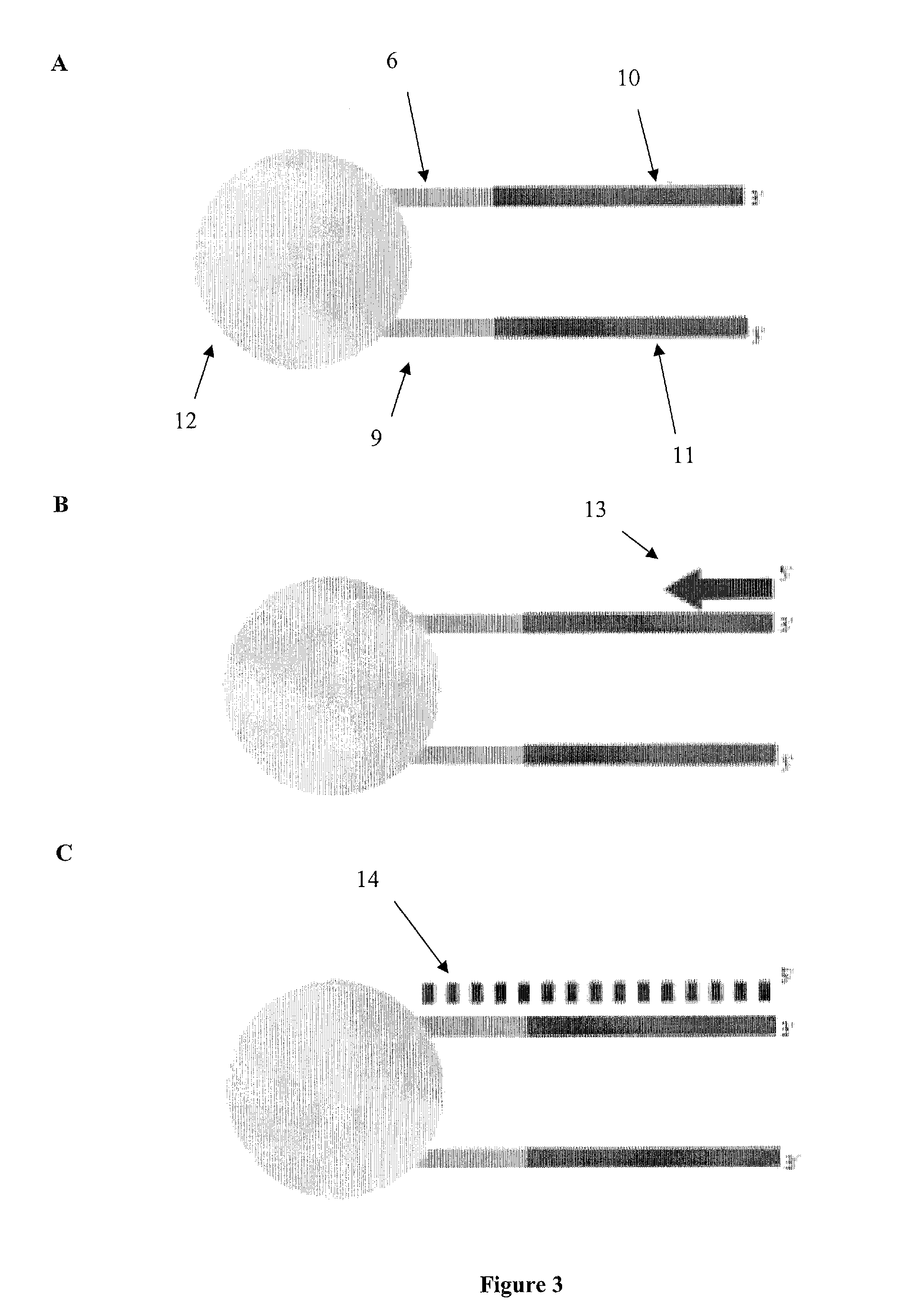 Compositions and methods for co-amplifying subsequences of a nucleic acid fragment sequence