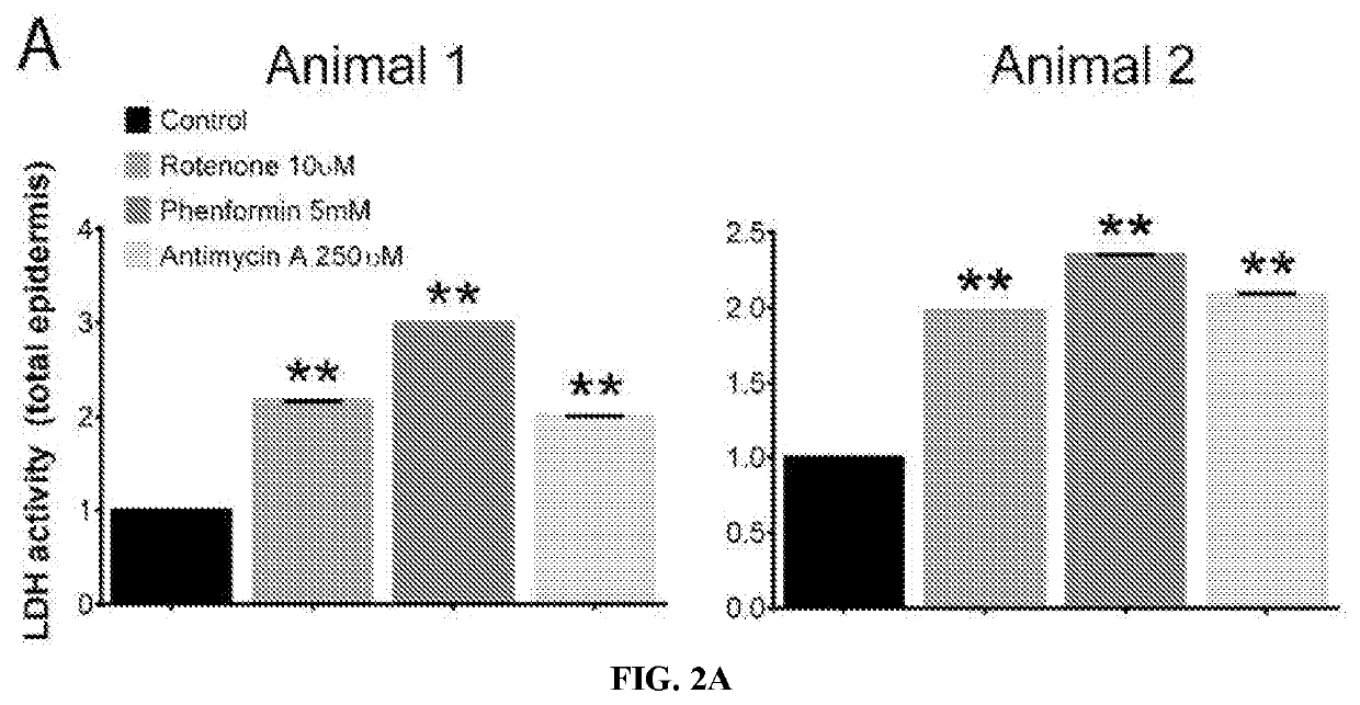 Compositions and methods for modulating hair growth