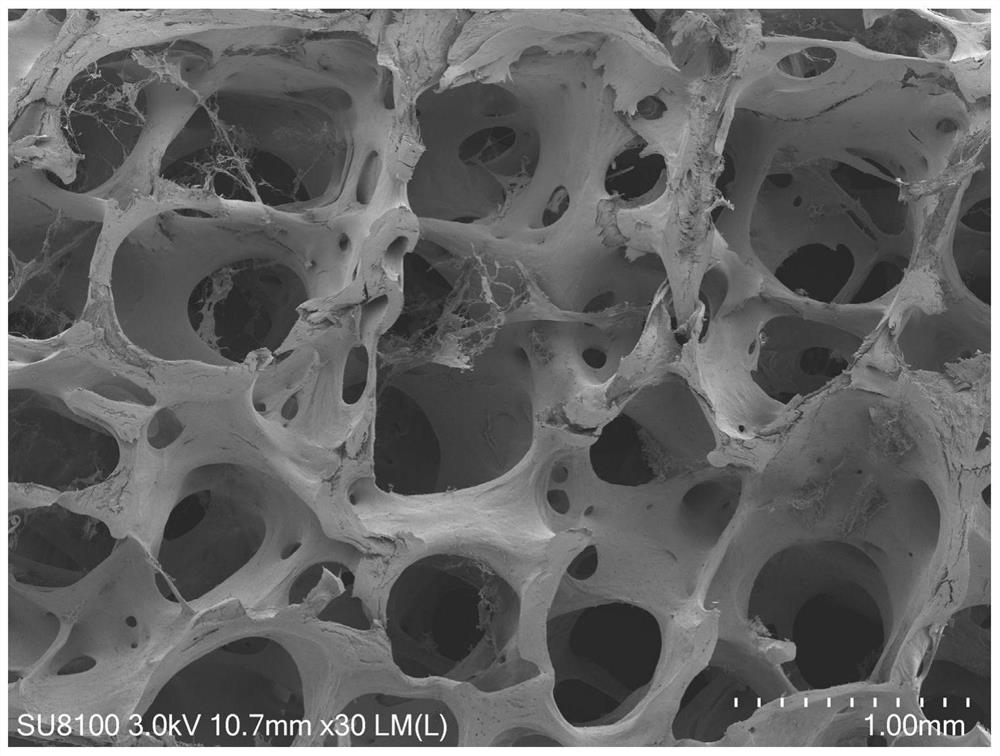 Cartilage tissue engineering compound and application thereof