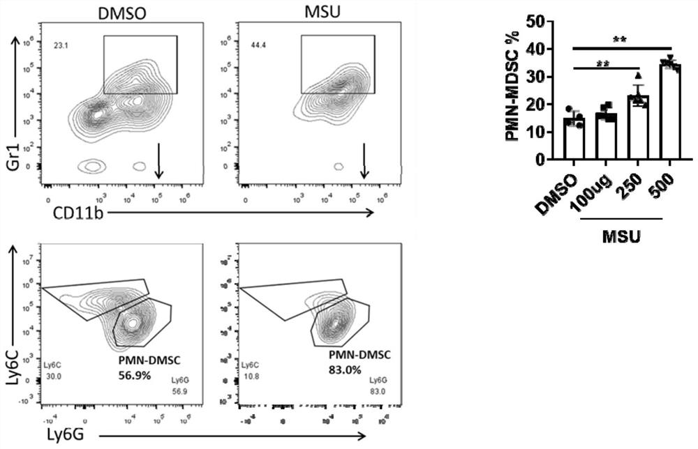 A method for sodium urate inducing myeloid suppressor cells