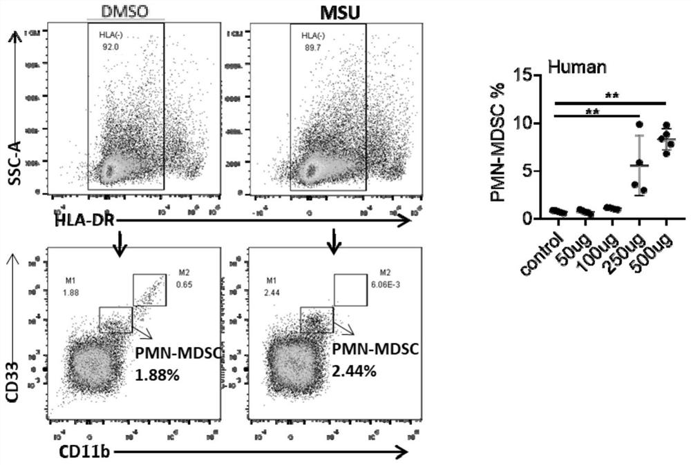 A method for sodium urate inducing myeloid suppressor cells