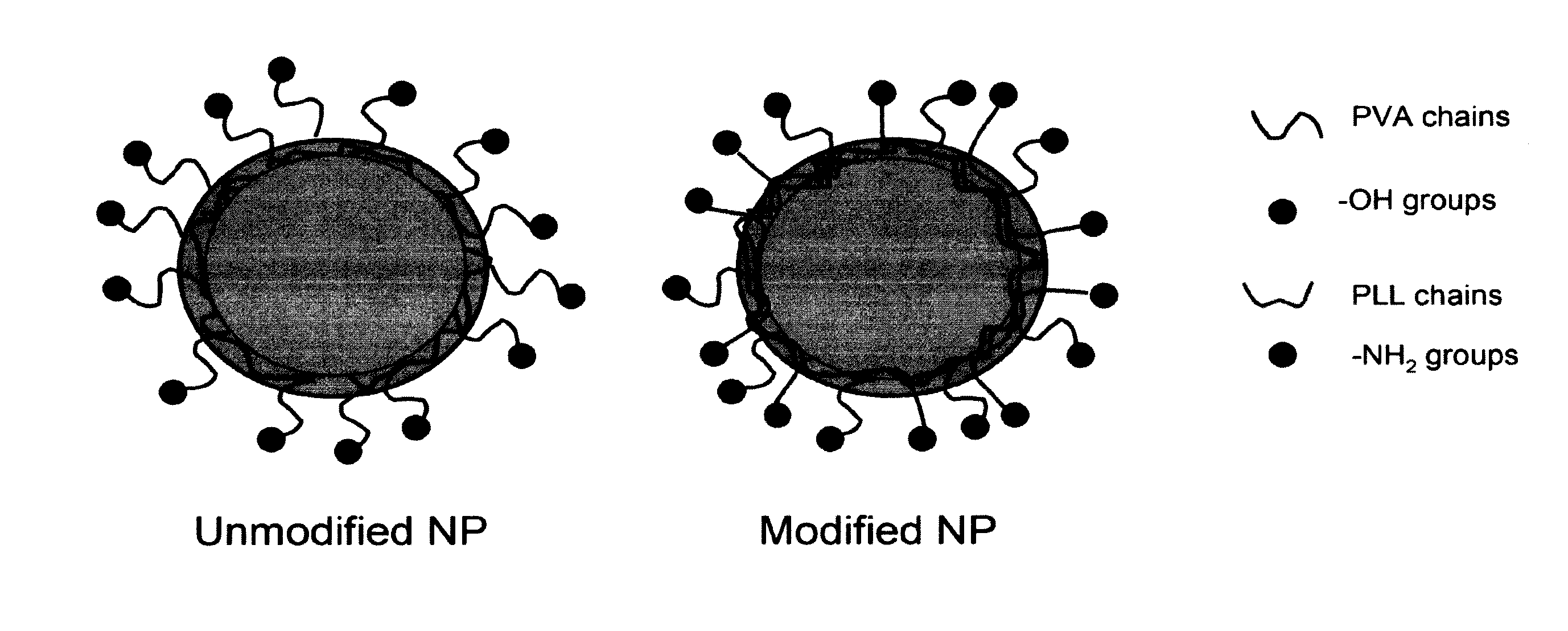 Surface-modified nanoparticles for intracellular delivery of therapeutic agents and compositions for making same