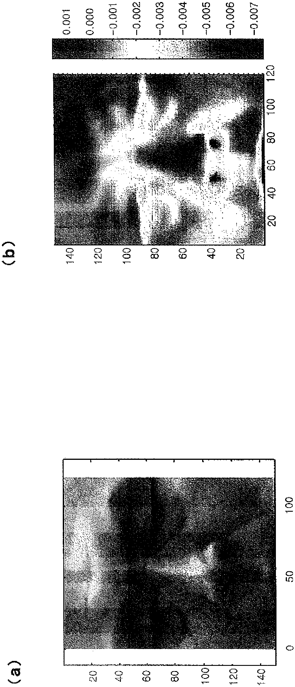 Brain-activity estimation device