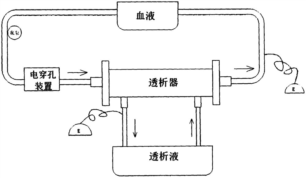 Ultrahigh-voltage nanosecond pulsed electric field controllable extracorporeal circulation erythrocyte electroporation treatment device