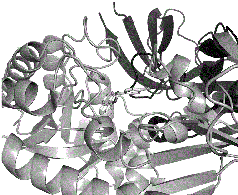 A kind of small molecule inhibitor and its application