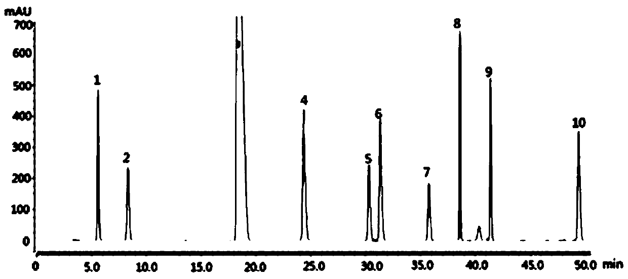 Chinese yam enzyme liquid preparation method and method for detecting free amino acid in Chinese yam enzyme liquid